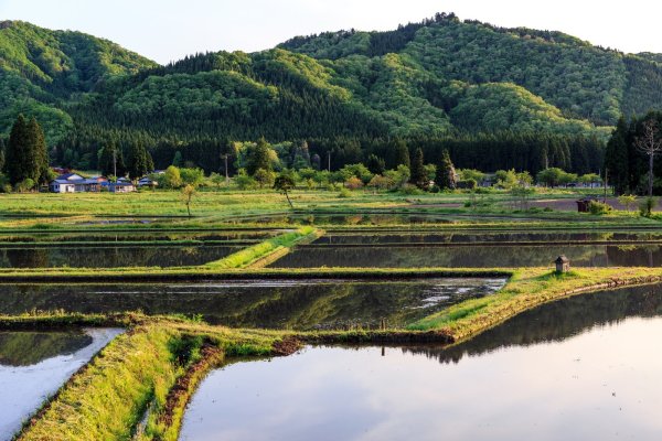 土地,田舎